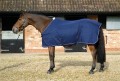 SALE-MARK TODD PRO STABLE SHEET